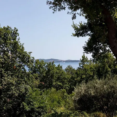 Nike - Two-bedroom With Terrace *